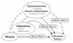 Importance of Circulating Leptin and Adiponectin in the Causal Pathways Between Obesity and the Development of Colorectal Cancer in Japanese Men