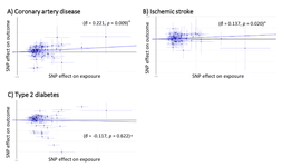 BMI and cardiometabolic traits in Japanese: a Mendelian randomization study