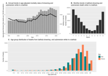 Drowning and Submersion Deaths in Bathtubs and Associated Factors: A Descriptive and Ecological Study in Japan, 1995–2020