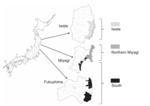 Mortality in the 2011 Tsunami in Japan